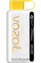 VOZOL STAR- 9000/12000 kiwi maracuyá guayaba VOAOL vape sale H6R4825