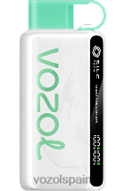 VOZOL STAR- 9000/12000 menta fresca VOAOL vape españa H6R4823