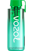 VOZOL NEON- 10000 menta de miami VOAOL vape flavors H6R48229