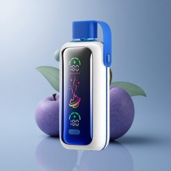 VOZOL Star 20000 Puffs Tormenta de Arándano Dual Mesh 650mAh